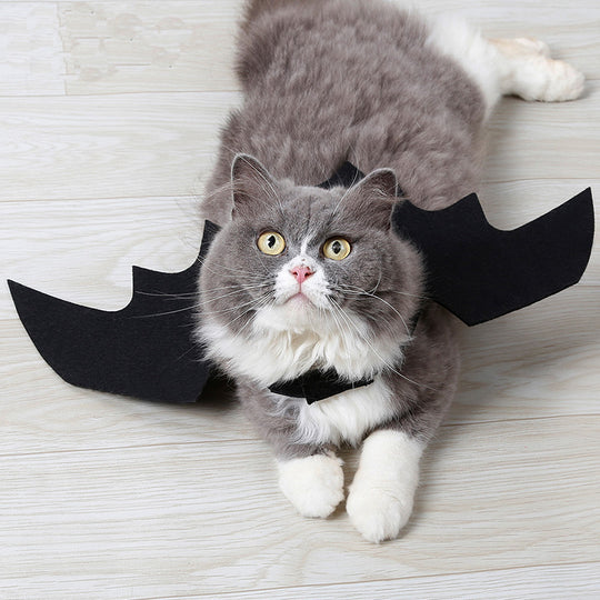 Cat Bat Wings Costume
