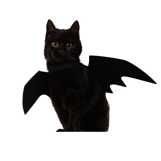Cat Bat Wings Costume