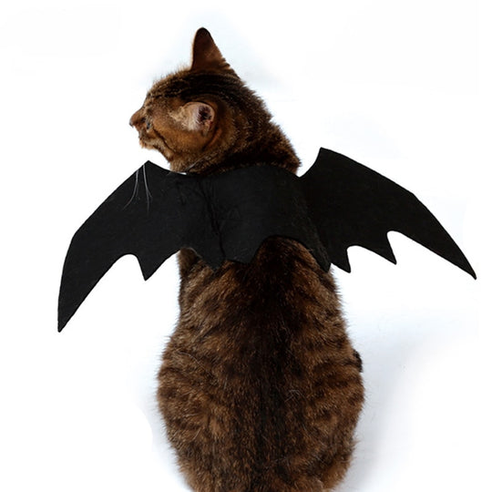 Cat Bat Wings Costume