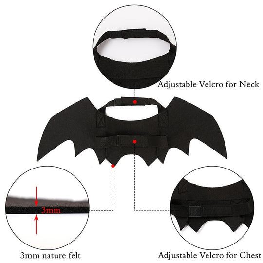 Cat Bat Wings Costume