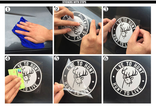 Crazy Cat Lady Vinyl Car Decal Sticker