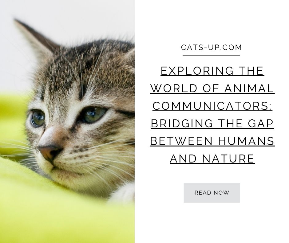 Exploring the World of Animal Communicators: Bridging the Gap between Humans and Nature