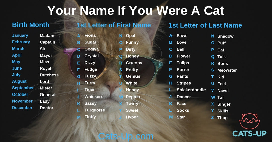 Your Name If You Were A Cat