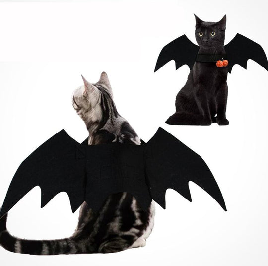 Cat Bat Wings Costume