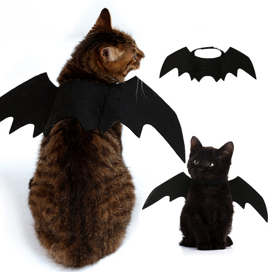 Cat Bat Wings Costume