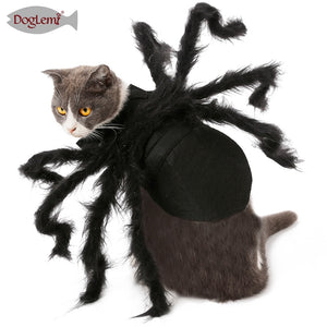 Spider Cat Costume