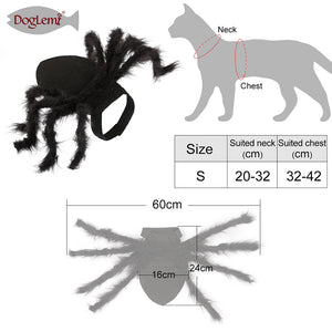 Spider Cat Costume