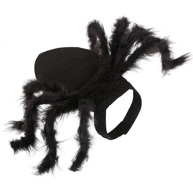 Spider Cat Costume