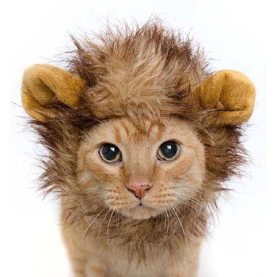 Lion Mane Hat Cat Costume