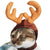 Reindeer Antlers Cat Hat - Cat Christmas Costume - Cat Dress Up Clothes